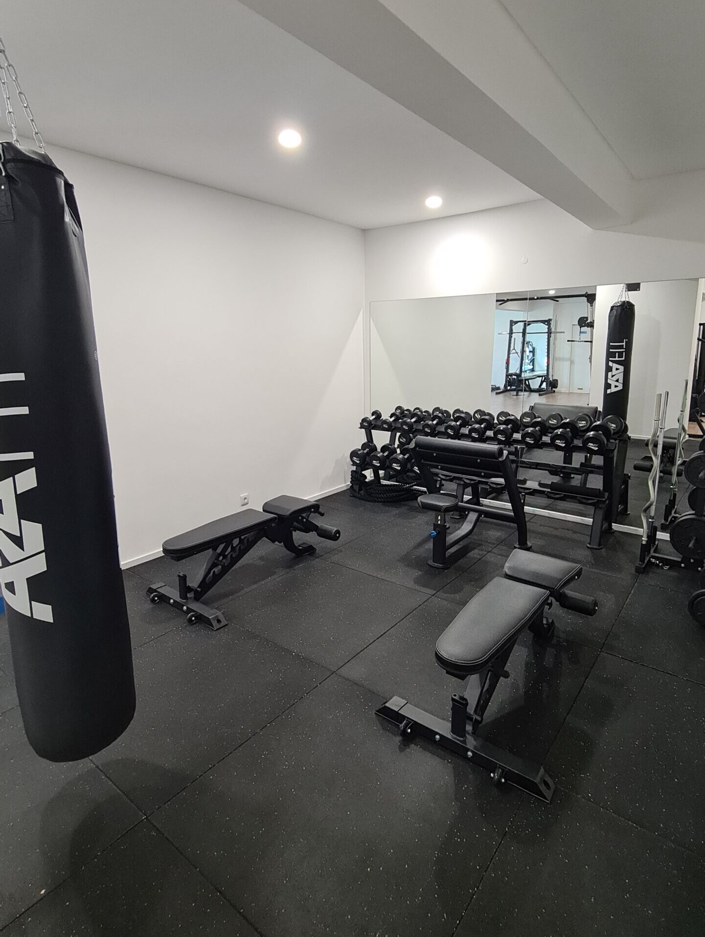 Zona de pesos livres do DS PT Studio — halteres, bancos e saco de boxe